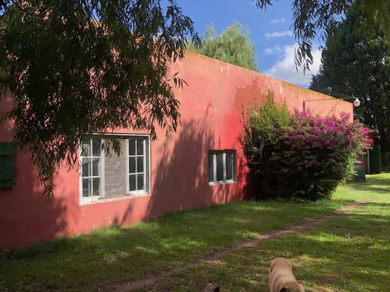 Amplia quinta con pileta, cancha de futbol y sector de sembrado Batan
